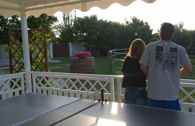 Agr. La Casa Della Lavanda - Il Rustico - Photo 21