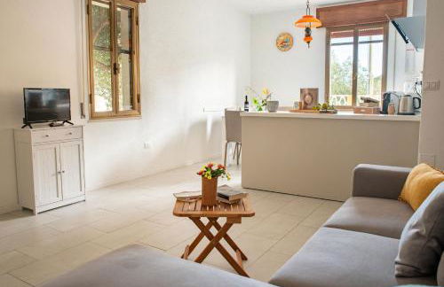 Under the Lemon Tree - Foto 47