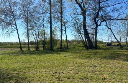 Siedlisko Komory - Foto 55