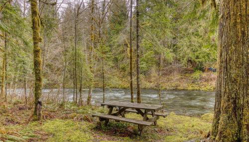 Thompson Cabin - Charming Salmon Riverfront A-Frame Oasis w/ fireplace - Foto 2