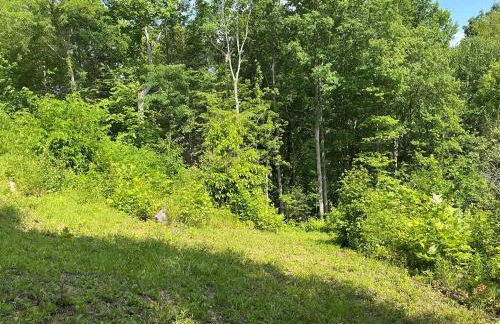 Hancock Hills Smoky Mountain Retreat CosbyTN - Foto 41