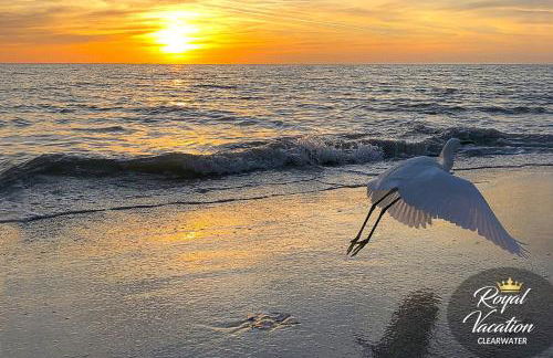 Royal Dream at Avalon Clearwater - Pool & Free Parking - 10 Min Drive to Clearwater Beach - Foto 50