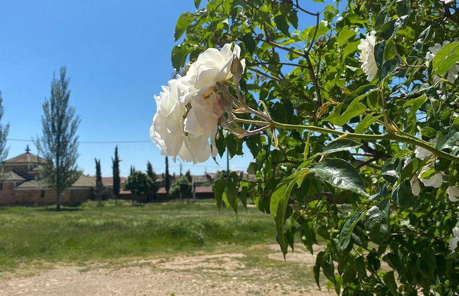 El Molino del Arriero - Foto 51