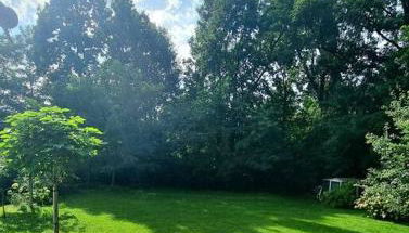 Haus am Waldrand und in Seenähe - Foto 3