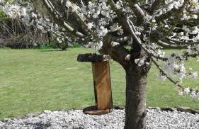 Casa de Coco - Foto 28