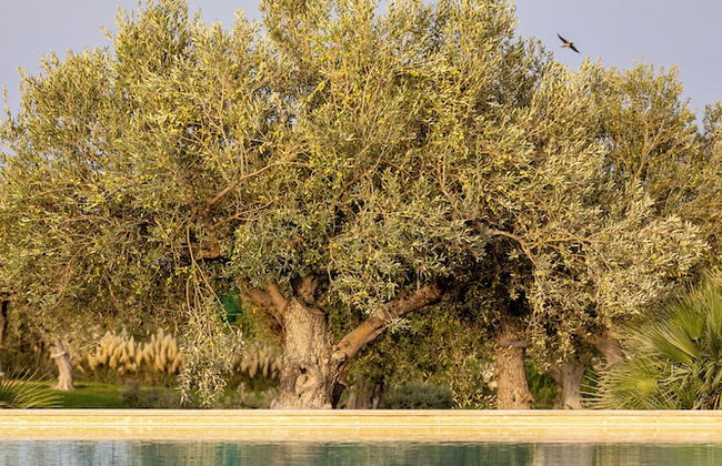 Agua Green Resort - Foto 17