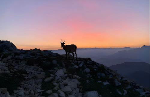 Gîte Crèmouille - Foto 19