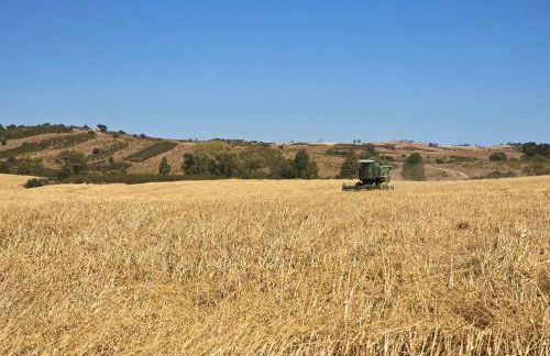 Casas do Monte - Foto 35