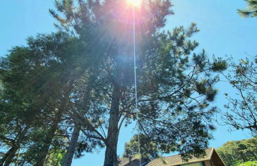 Rancho das Neves - Rancho Queimado - SC - Foto 50