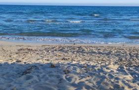 Calia's Home 1 - Foto 4