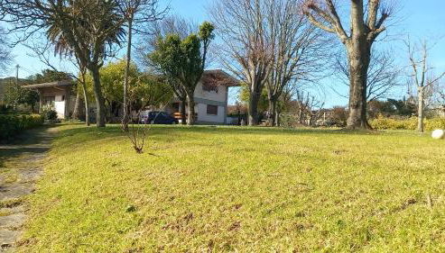 Azkorri Beach House 9 rooms Bilbao - Foto 5, Garden, Garden view