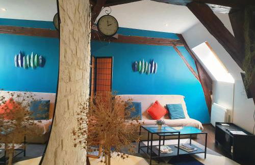 Appartement entier - Centre ville - Batiment historique - Foto 1