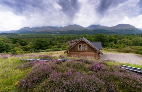 Wild Nurture Eco Luxury Offgrid Log Cabin - Foto 47
