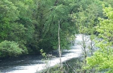 Suite avec vue panoramique sur la Truyère - Photo 24