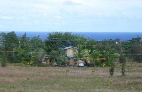 Coconut Palms Vacation Rental near lava fields and beaches - Foto 24