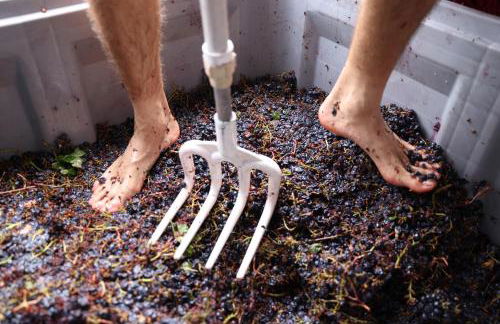 Bio-Agriturismo La Ginestra - Foto 73