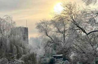 Linden Suite - Foto 16