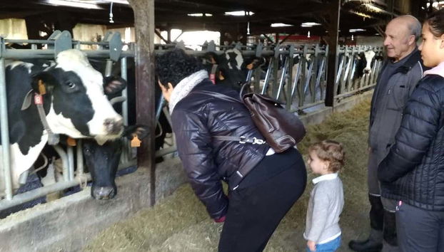 Visita a una granja de vacas lecheras - Photo 2