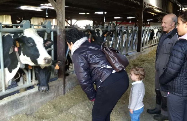 Visita a una granja de vacas lecheras - Foto 2