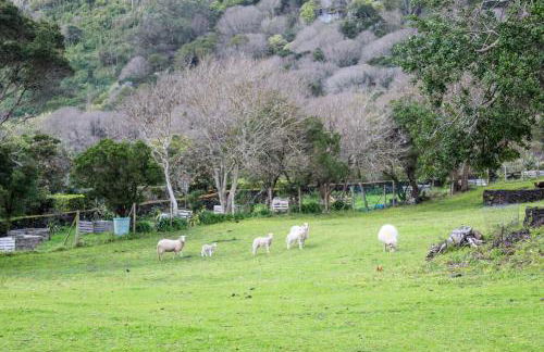 Quinta do Almanac - Photo 21