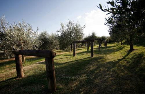 Agriturismo Sanguineto - Foto 128