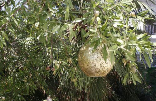 Villa a due passi dal mare "Cicogne Apartment" con BBQ e parcheggio gratuito a due passi dall'Aeroporto - Foto 53