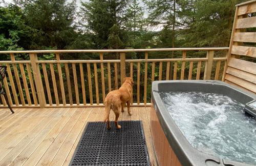 Holly Berry Lodge with Hot Tub - Foto 6