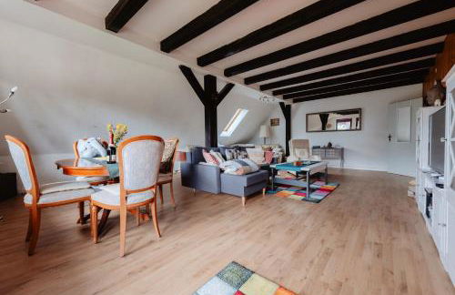 Olifant in Osterode - Foto 4