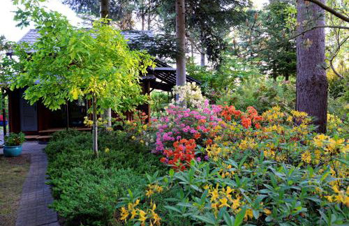 Leśniczówka Białogóra & jacuzzi - Foto 9