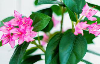 Helle Wohnung mit Balkon & moderner Küche - ideal für Paare mit Kind - Foto 13