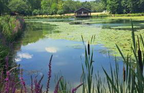 Ferienapartment Wilma - Foto 48