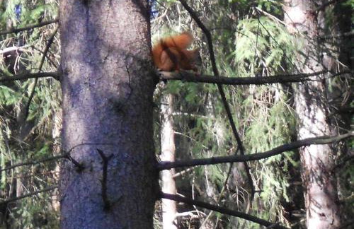 Appartamenti Mosconi Mistica - Foto 49