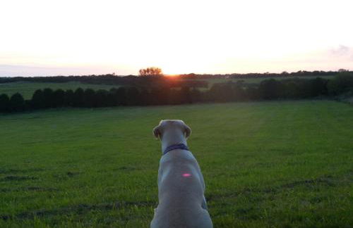 Silverspring Hideaways - Foto 7