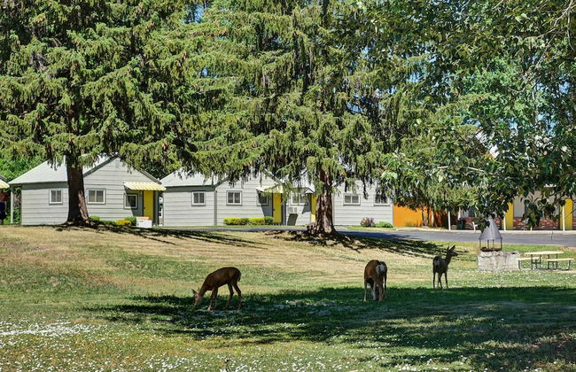 Idle A While Cabins - Photo 15