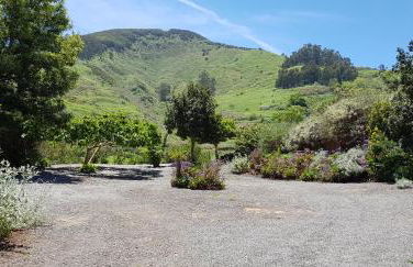 Cuevas De Barreto - Foto 54