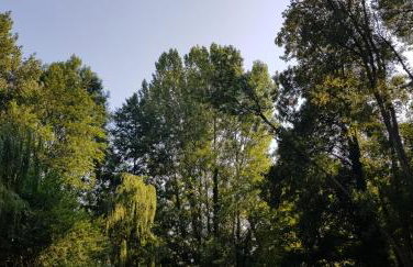 Chalet au Coeur de Foret Gouvieux - Foto 20