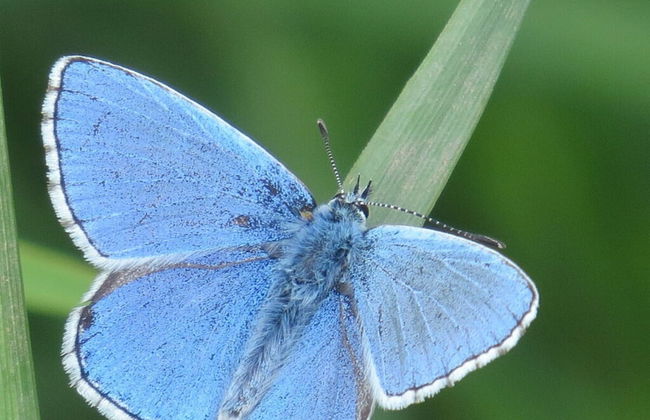 Csilla Comfortable Holiday Residence - Foto 30