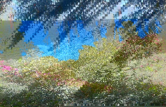 Bouganville Home Mondello - Foto 2