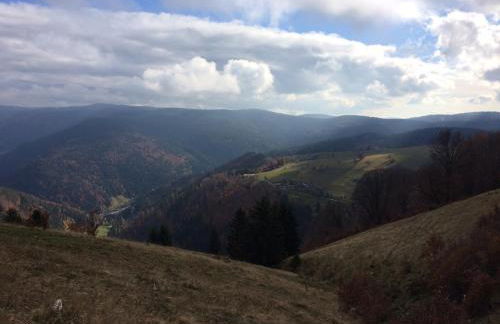 Happy Big Family - Foto 30