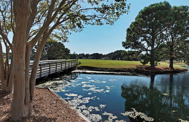 Ground-floor Studio at Sandestin Golf & Beach Resort: Sleeps 4 - Foto 107