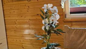 Domek Serce Krynicy - Foto 4