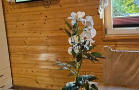 Domek Serce Krynicy - Foto 4