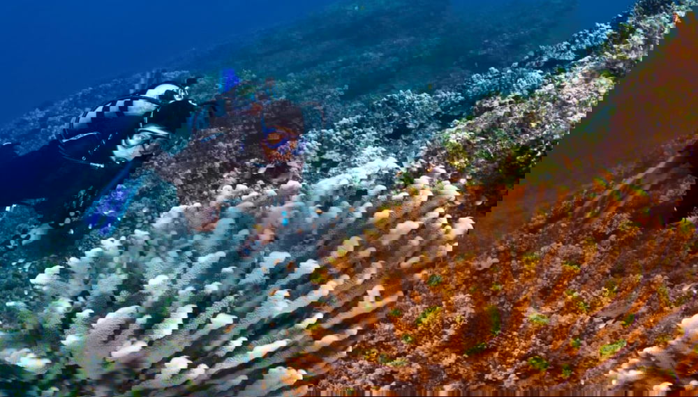 Mana Kai 803 - Foto 1, Imagen principal