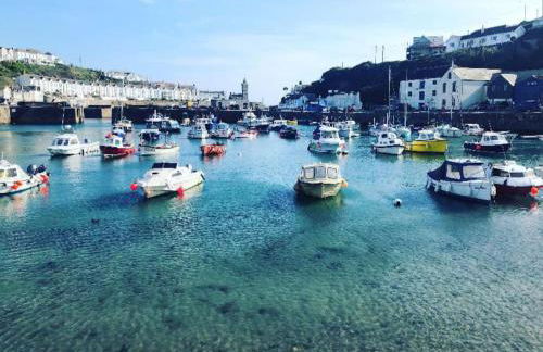 Guest Suite in Porthleven With Private Garden - Foto 15