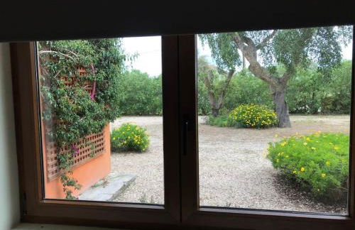 Country House in Coruche - Foto 24