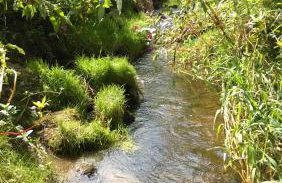 Allgäu Ferienhof Schönberger - Photo 60