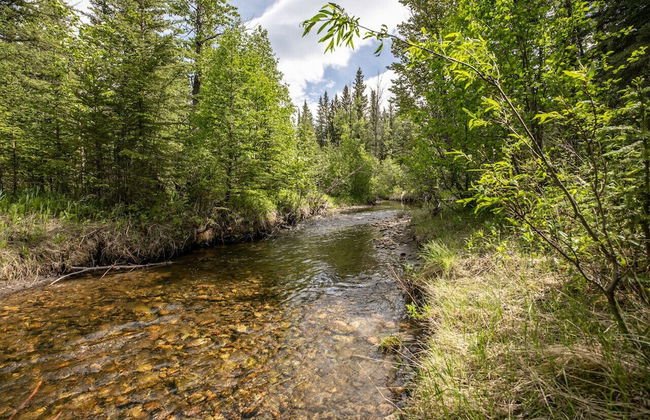 LUXURIOUS 5-Br Acreage | Year-Round Heated Pool & HotTub | Mtn View | Pool Table - Foto 28