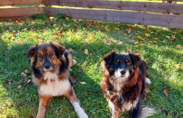 Ferienwohnung Franz Jägershof 27 - Foto 24