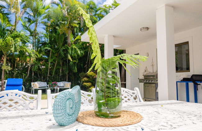 A Guest Dream Villa Blue at Punta Cana Village! - Photo 18