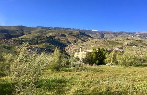 Secano de Paco - Foto 44